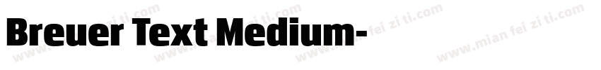 Breuer Text Medium字体转换